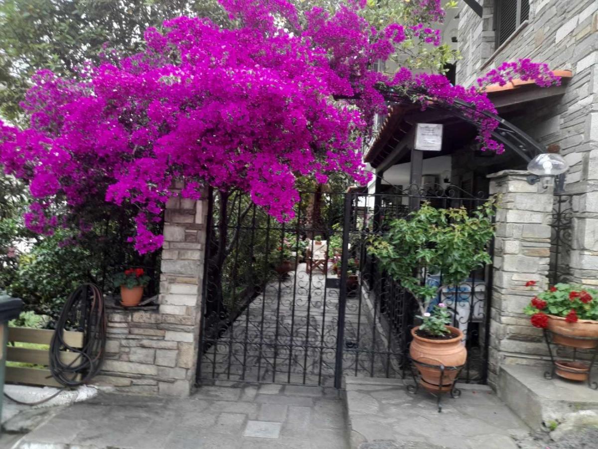 Papatzikos Traditional Guesthouse Neos Marmaras Luaran gambar