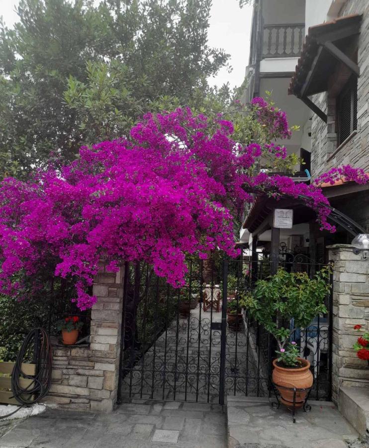 Papatzikos Traditional Guesthouse Neos Marmaras Luaran gambar